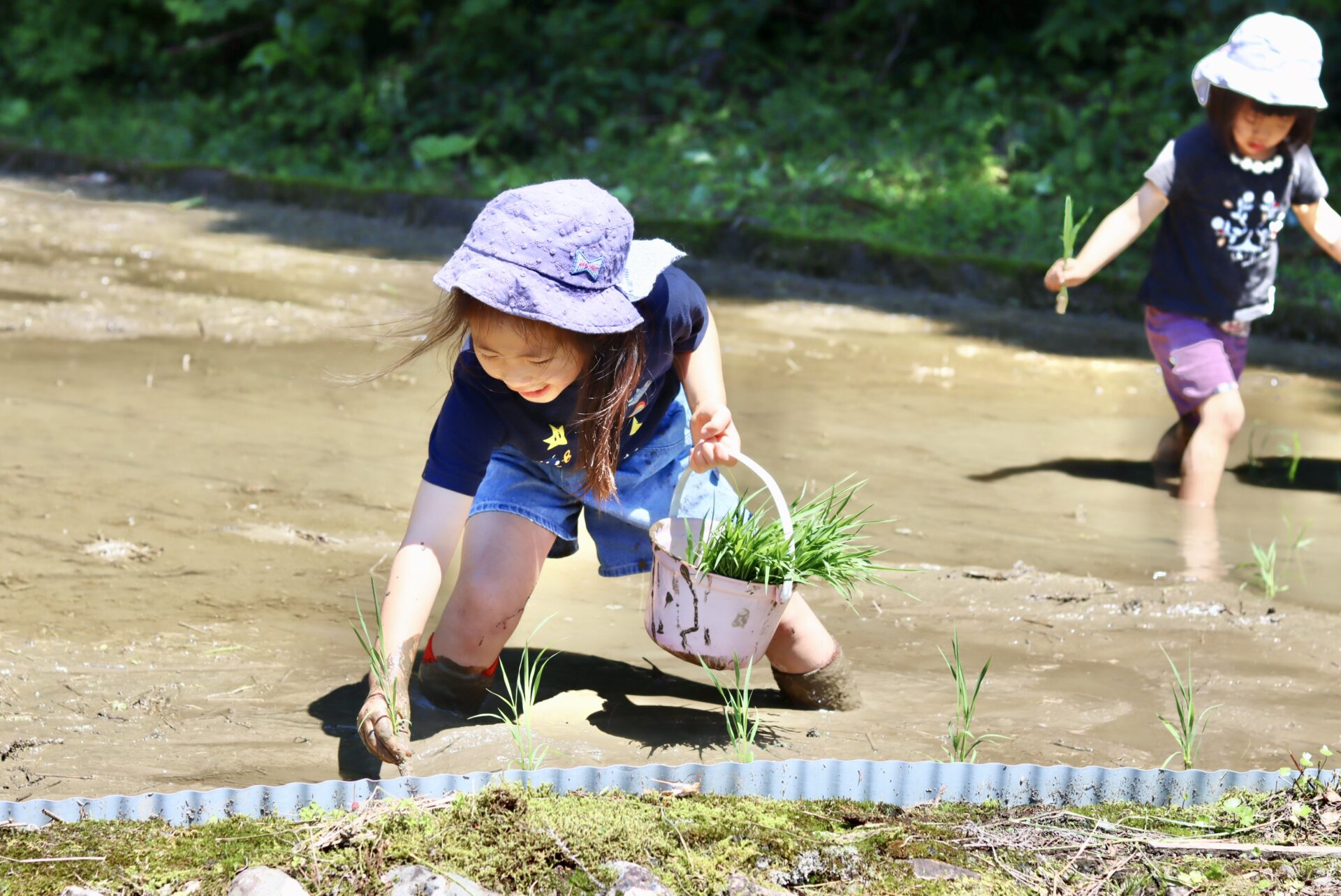 田植え体験/稲刈り体験の写真(高知県いの町)